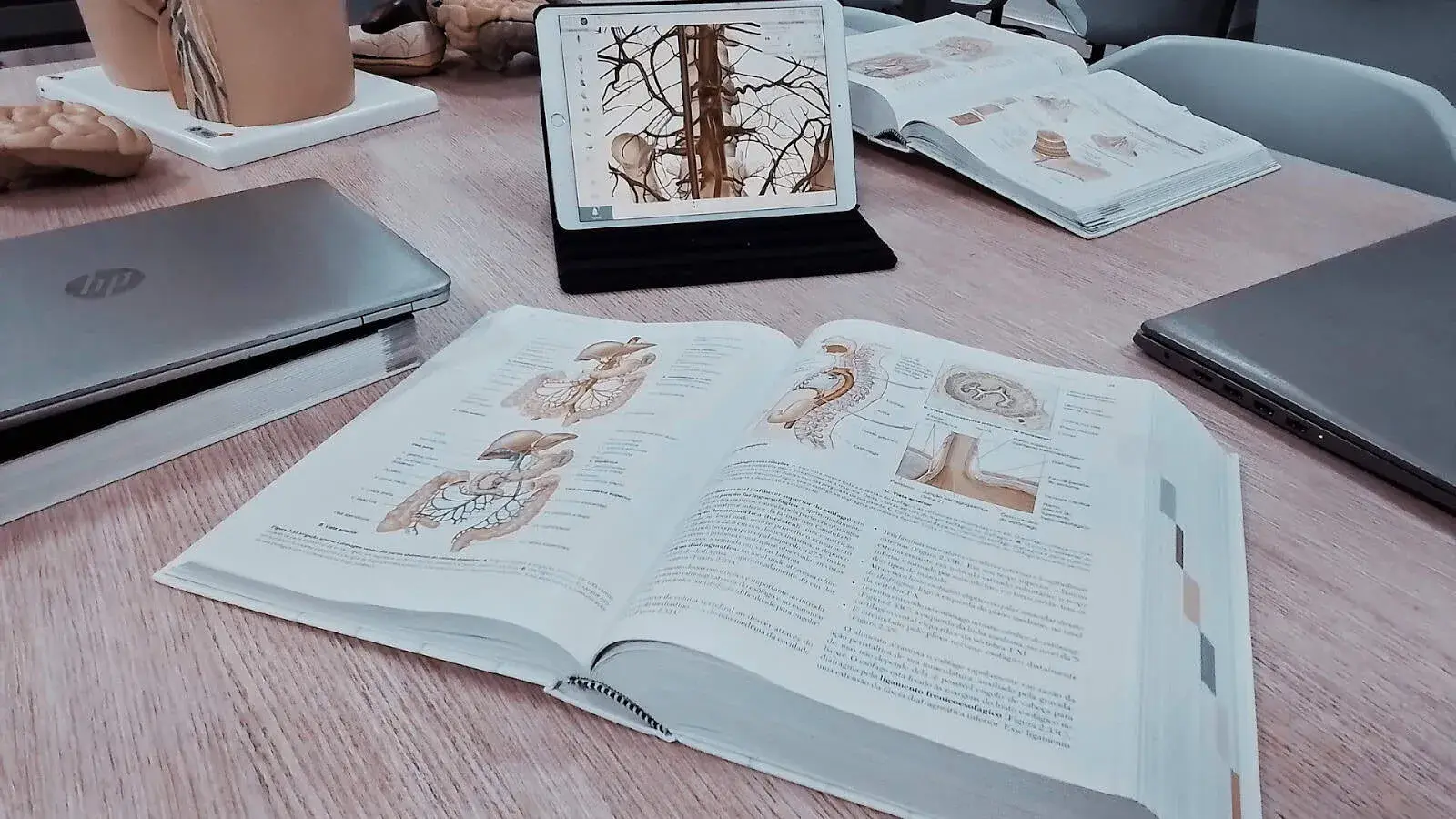 What is the Maximum Weighted GPA?